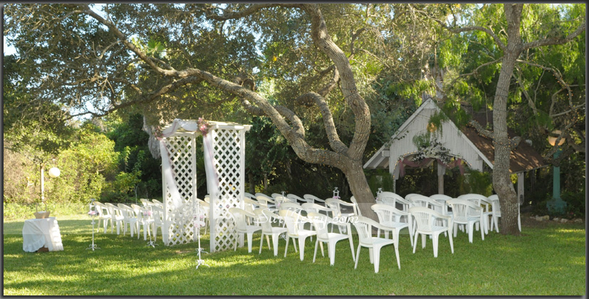 wedding262