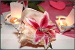 wedding231