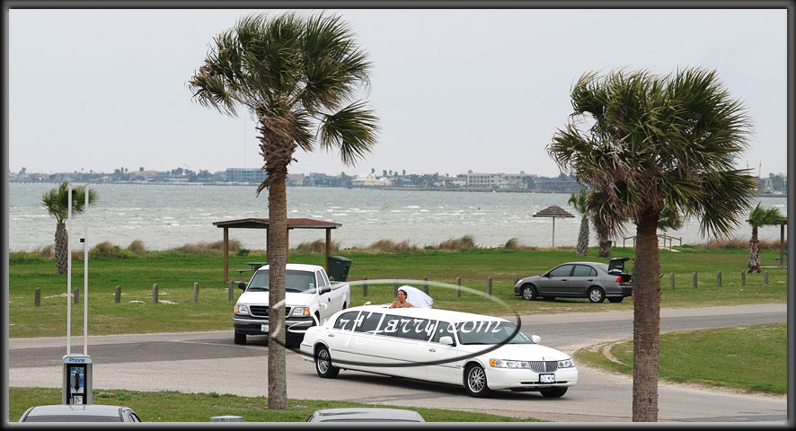 wedding282