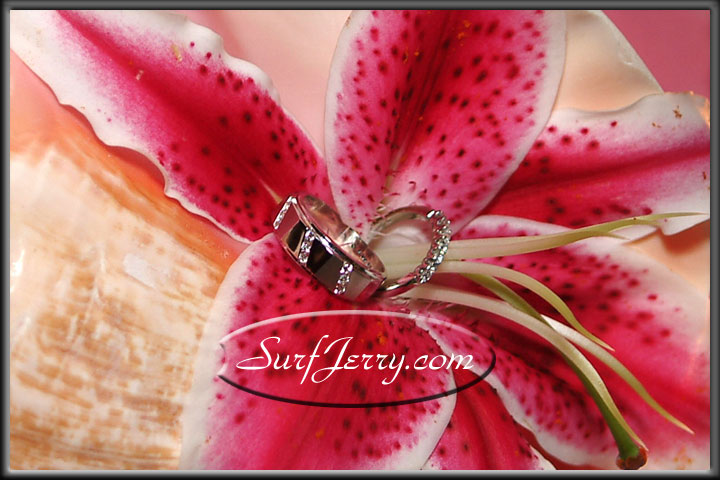 wedding292