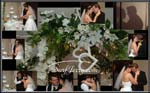 wedding216