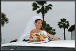 wedding283