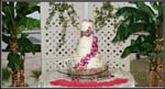 wedding284