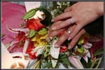 wedding290