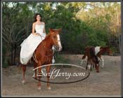 116